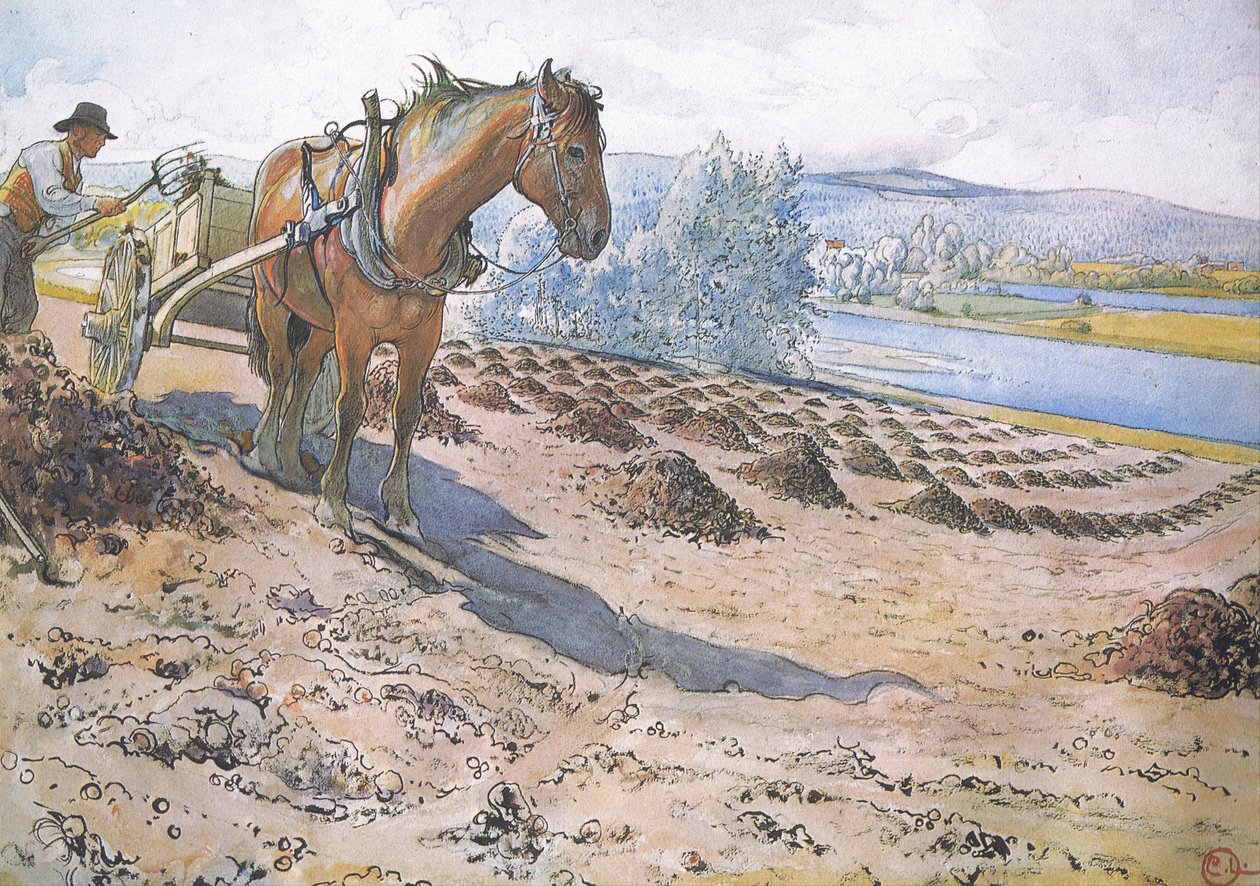 Møg breder sig på en brakmark af Carl Larsson
