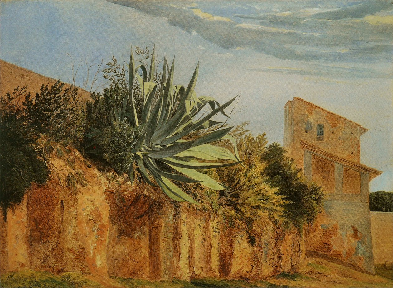 På bymuren i Rom Francais: Agave sur un mur de Romen af Carl Wagner