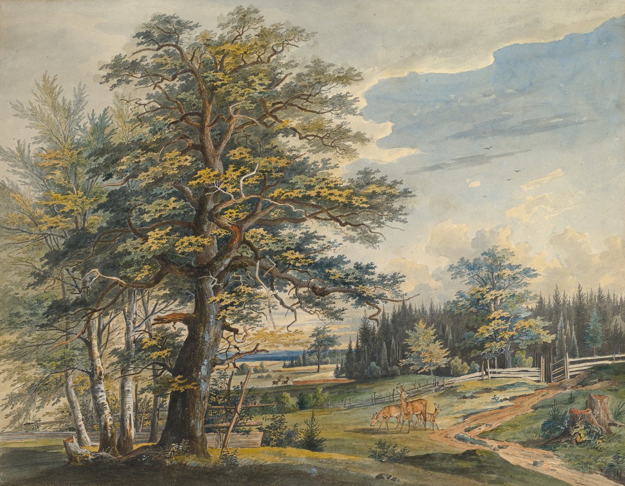 Skovlandskab med kronhjort, 1800-1877. af Carl August Lebschee