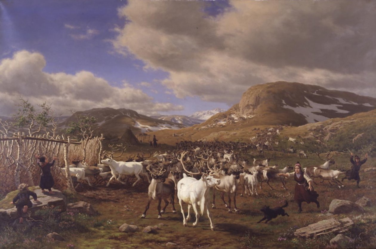 En rensdyrhjord drives til malkepladsen. Motivet fra højfjeldene nord for Røros af Carl Bøgh