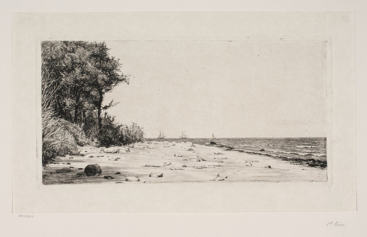 Fra Sjællands nordkyst. Hornbækplantagen af Carl Bloch