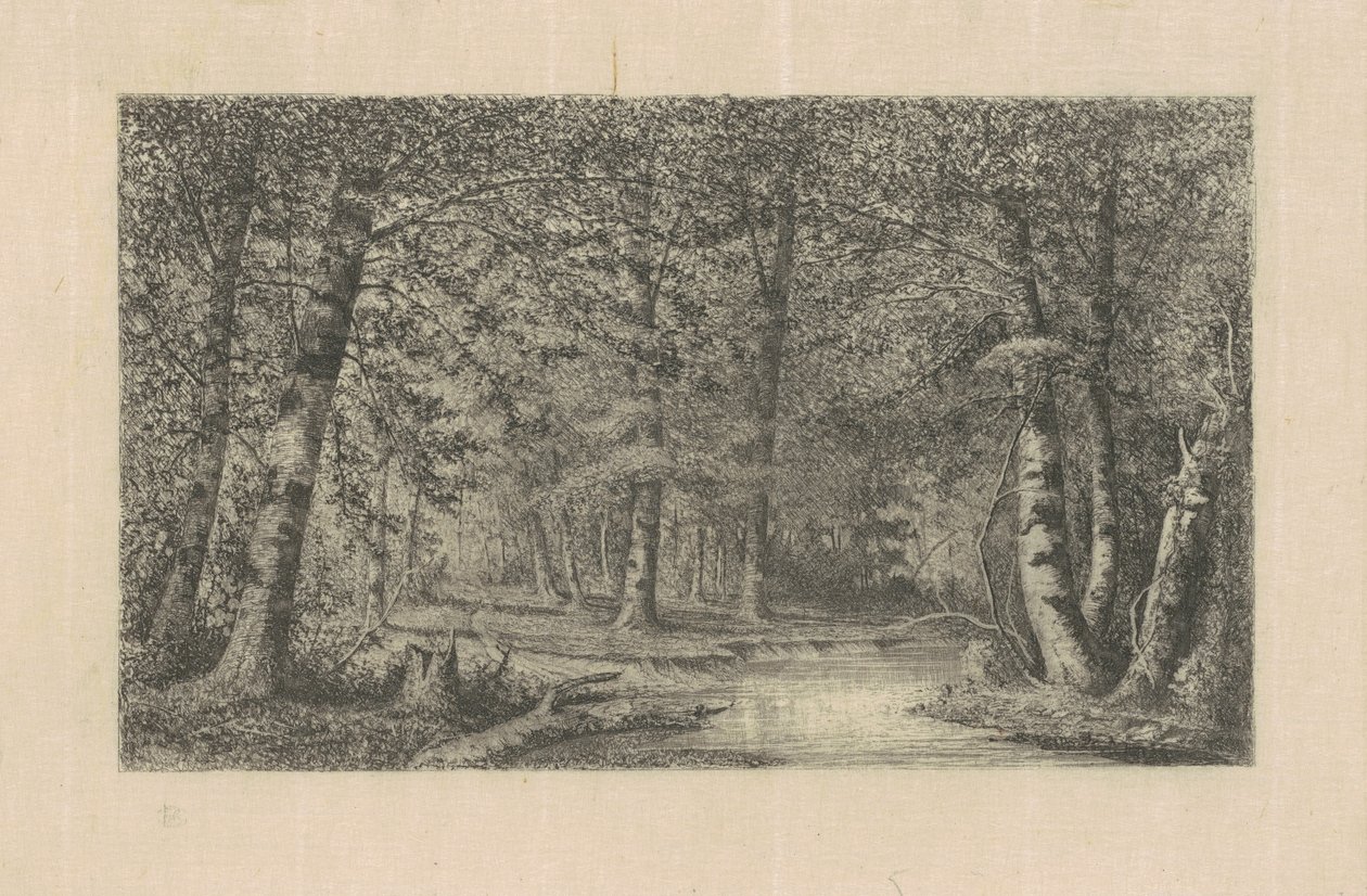 Bøgeskov af Carl C. Brenner
