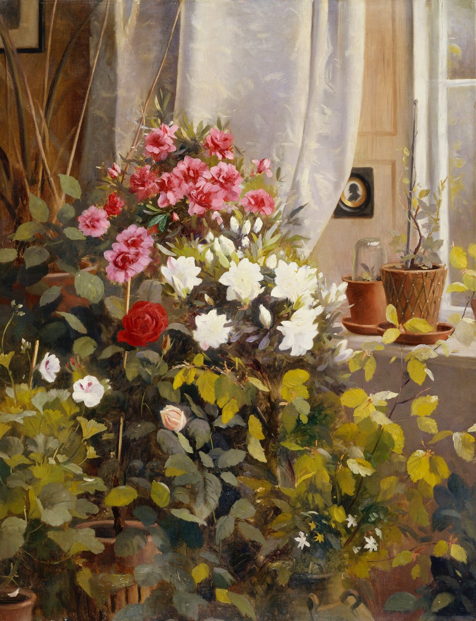 Azaleaer, pelargonier, roser og andre potteplanter ved et vindue af Carl Christian Carlsen
