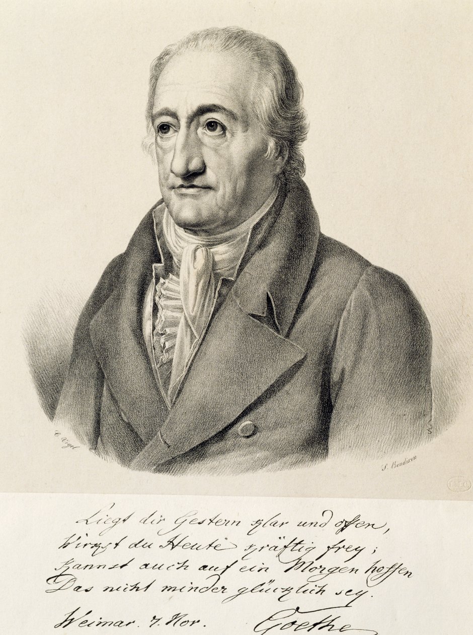 Portræt af Johann Wolfgang von Goethe (Frankfurt af Carl Christian Vogel von Vogelstein