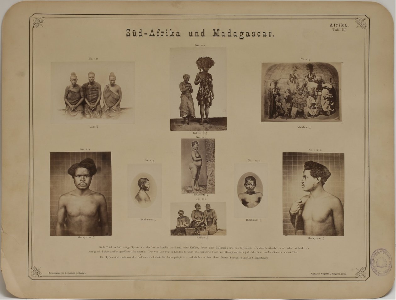 Fotoalbum om antropologi- etnologi af Carl Dammann