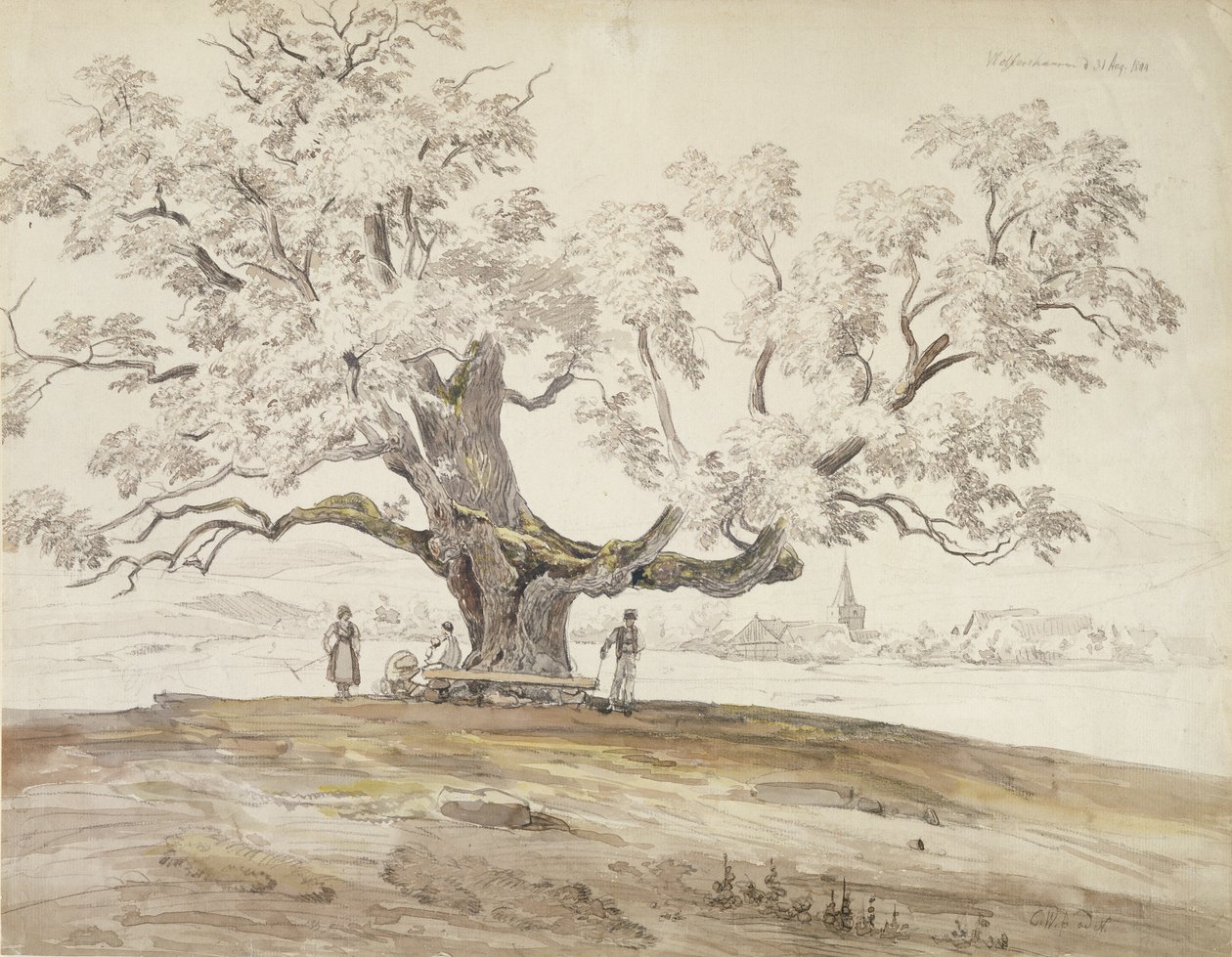 Udsigt over Wolfershausen bei Meiningen med et gammelt egetræ, 1844 (grafit & wc på papir) af Carl Ernst Ludwig Wagner