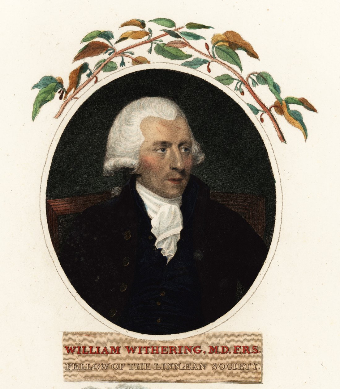 Portræt af William Withering, læge og botaniker af Carl Frederik van (after) Breda
