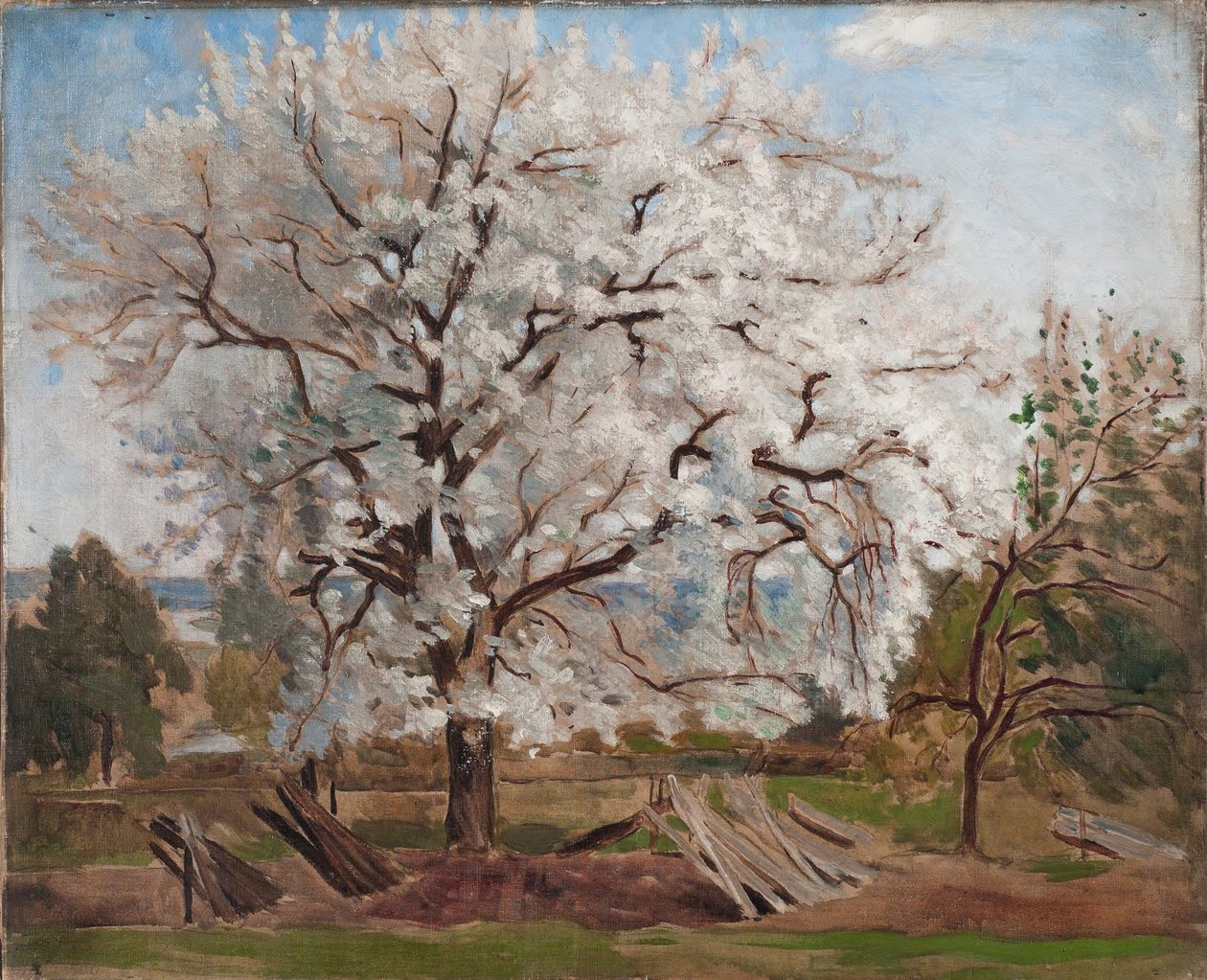 Æbletræ i blomst af Carl Fredrik Hill