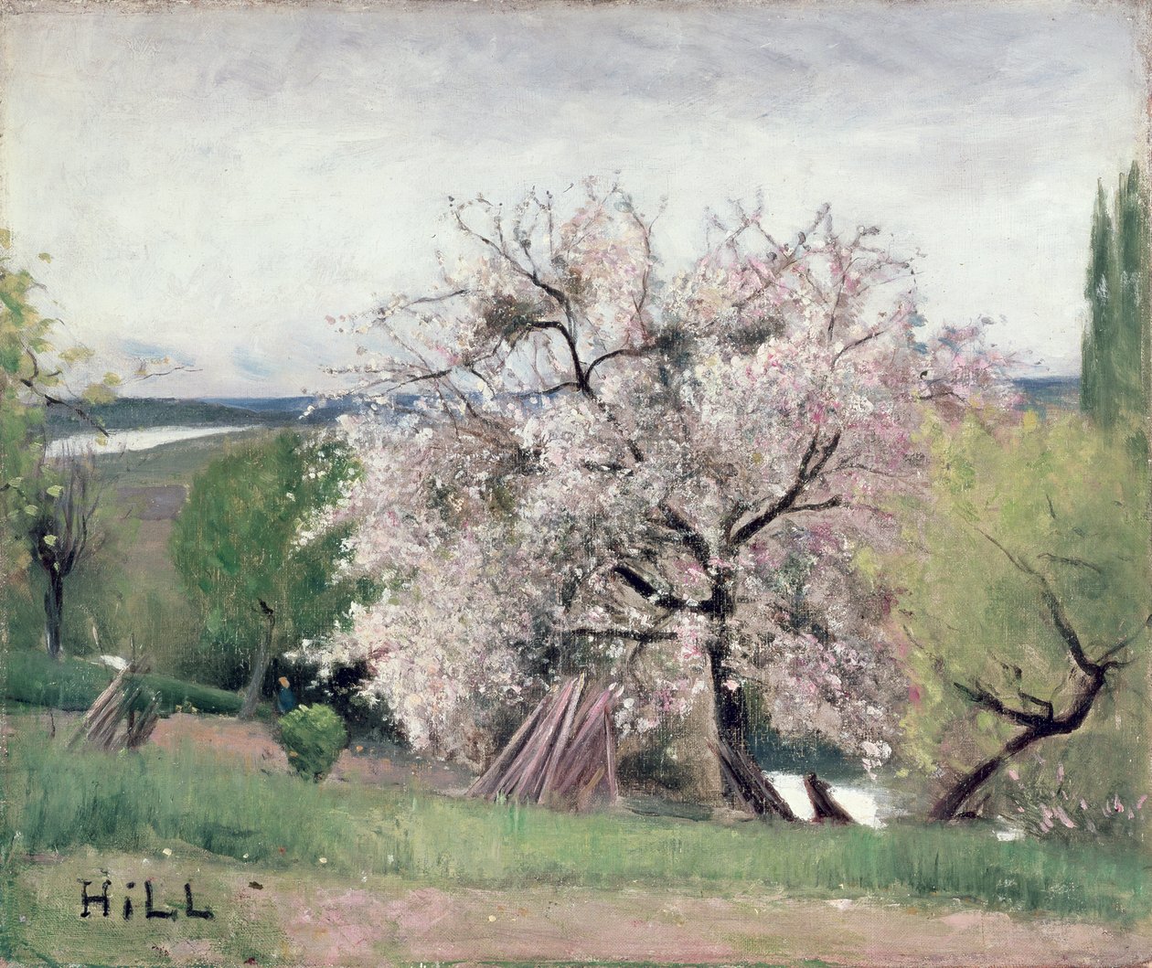 Frugttræ i blomst, Bois-le-Roi af Carl Fredrik Hill