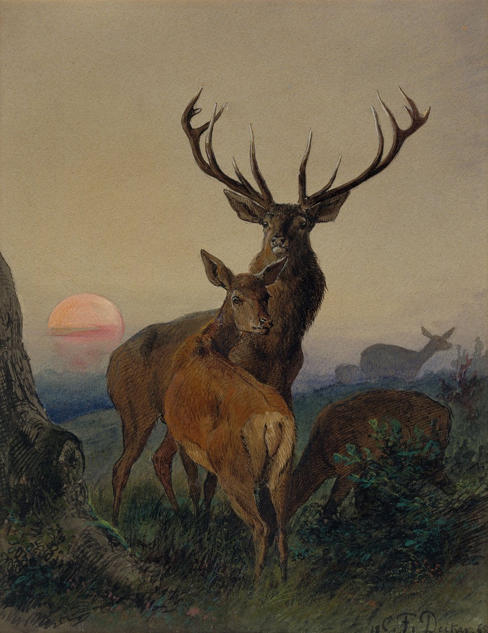 En kronhjort med en hjort i et skovklædt landskab ved solnedgang af Carl Friedrich Deiker