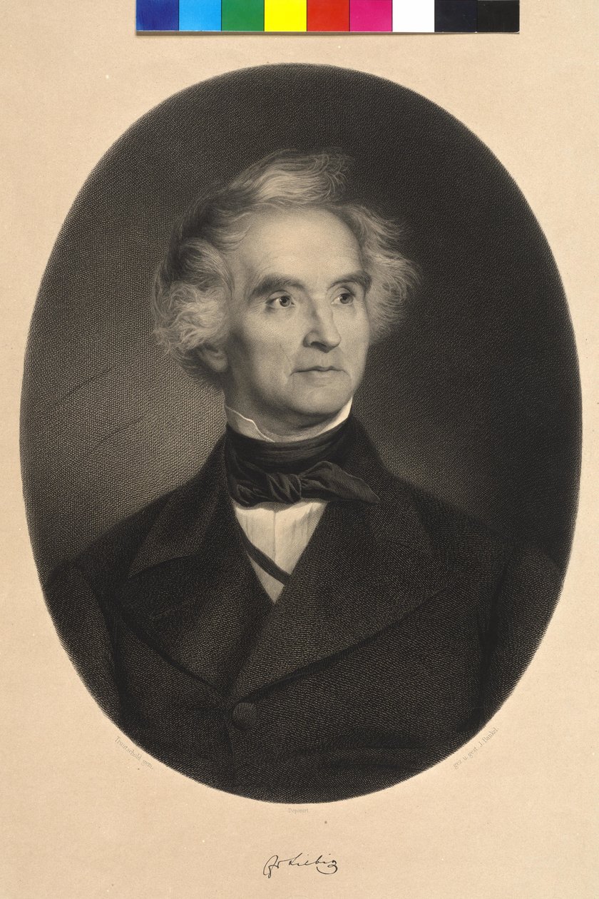 Justus Baron von Liebig af Carl Friedrich Wilhelm (after) Trautschold