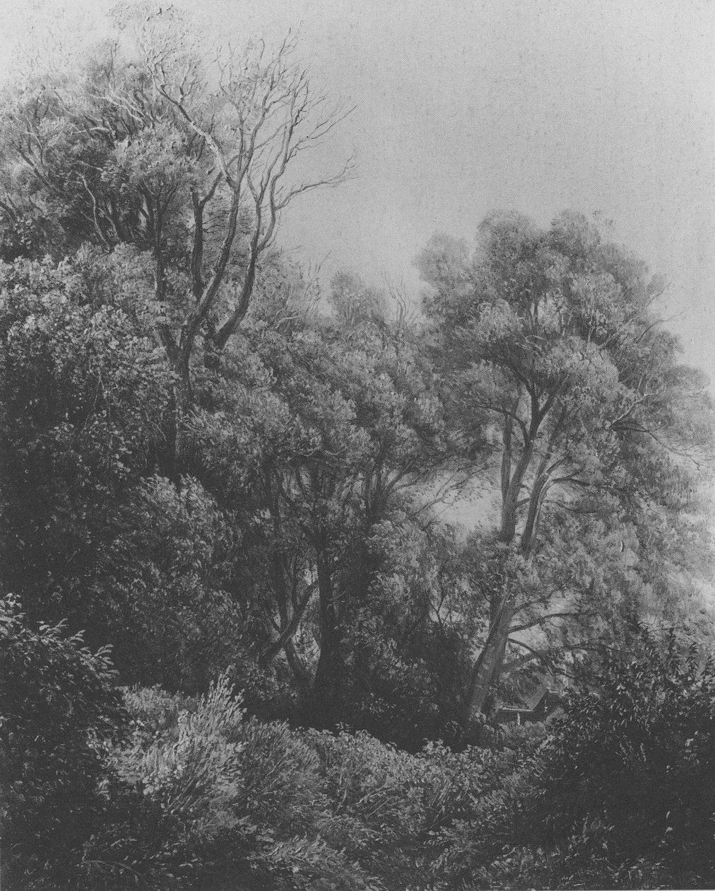 Pillnitz på øen Elben Carl Gustav Carus 1840 af Carl Gustav Carus