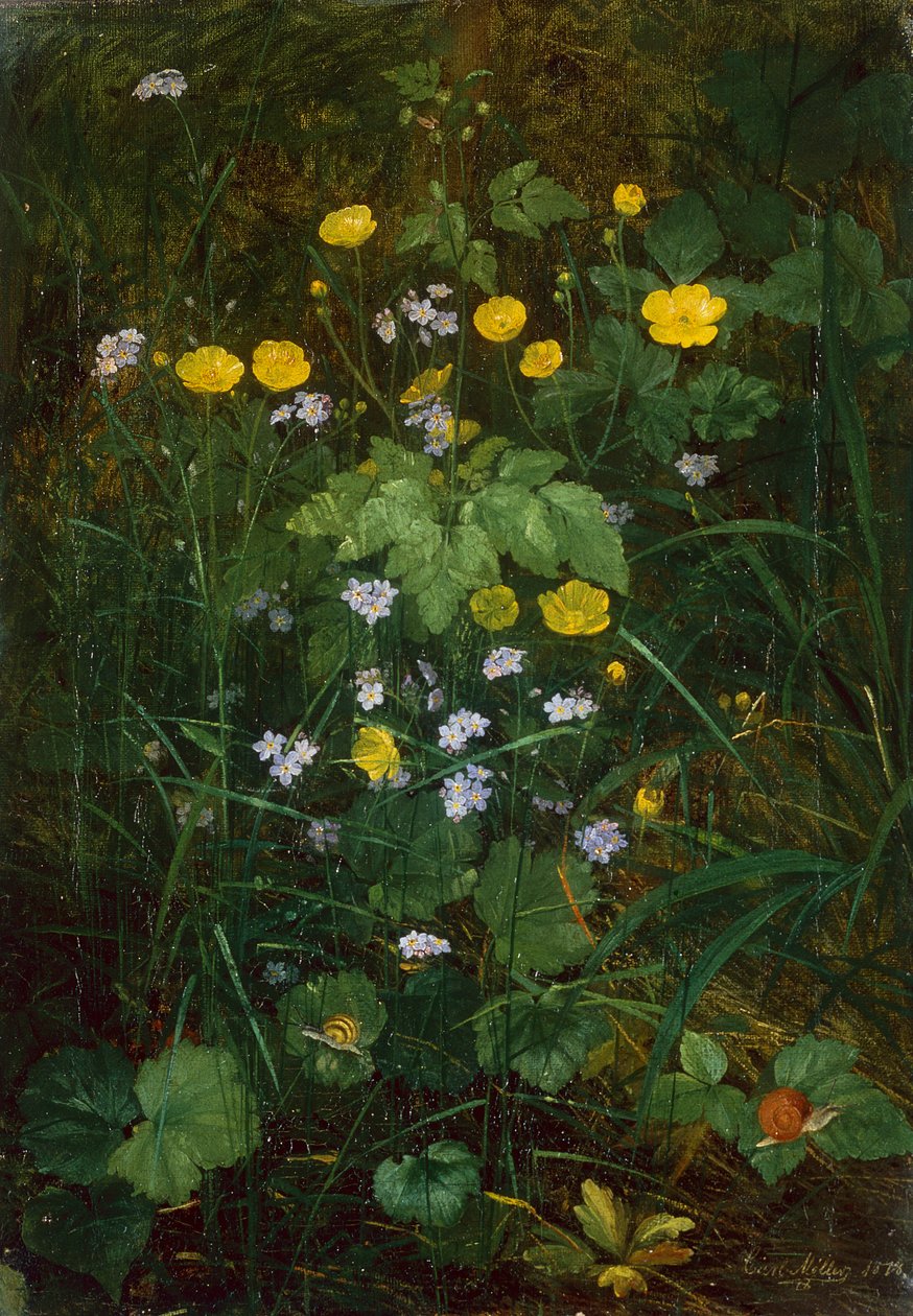 Smørblomster og Forglemmigej på en Skovbund af Carl Henrik Koch Moller