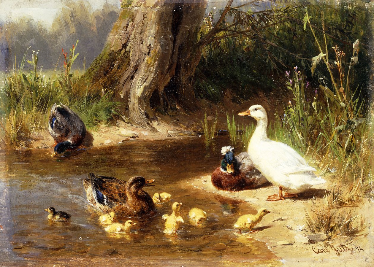 Ænder ved vandkanten, 1874 af Carl Jutz