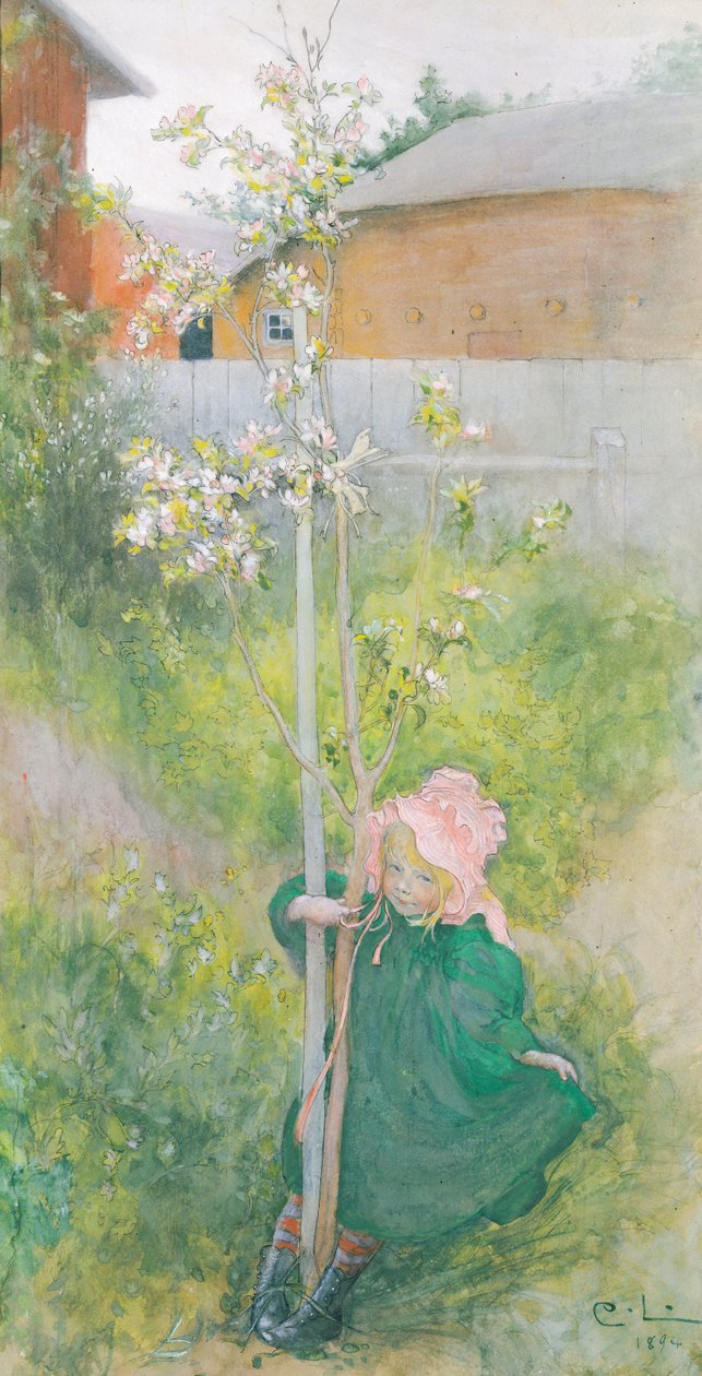 Æbleblomst, 1894 af Carl Larsson