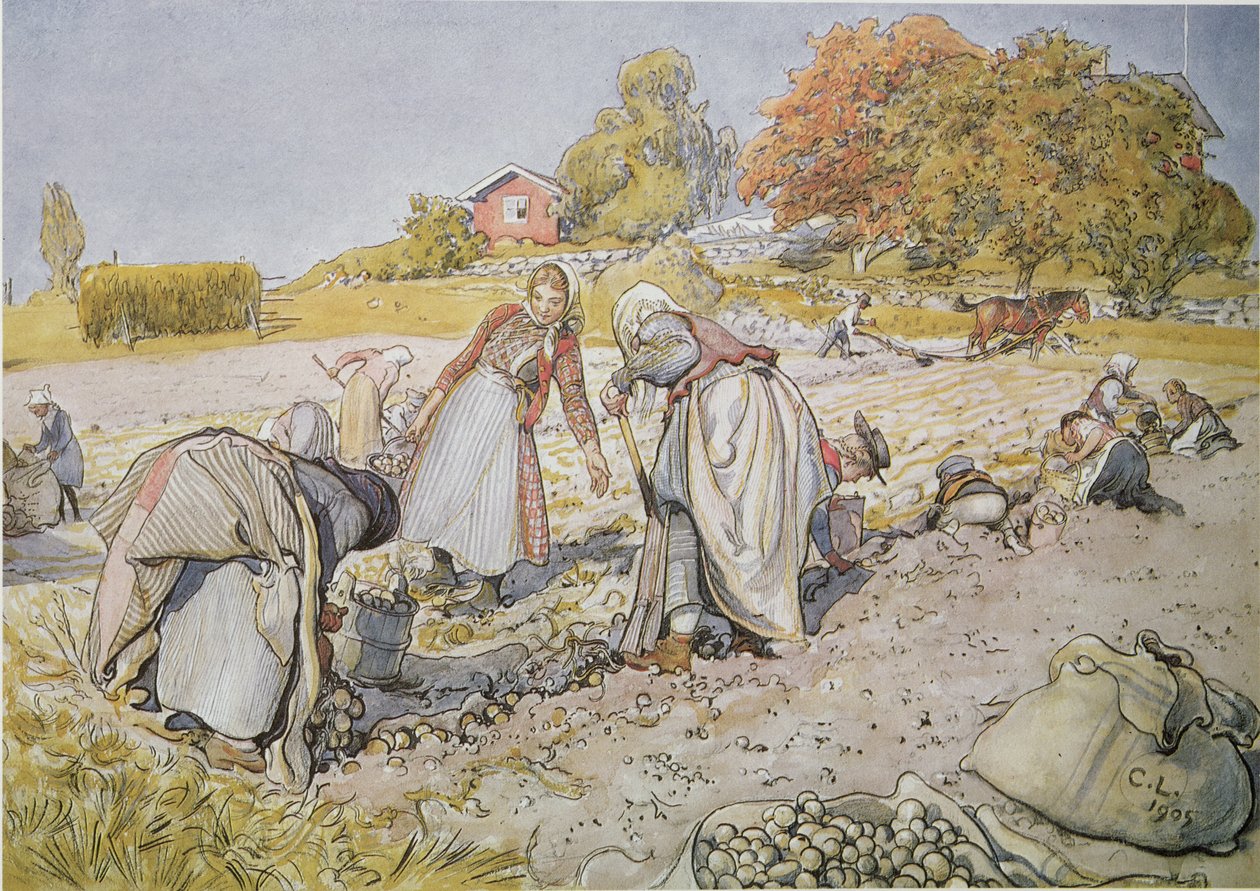 Gravning af kartofler af Carl Larsson