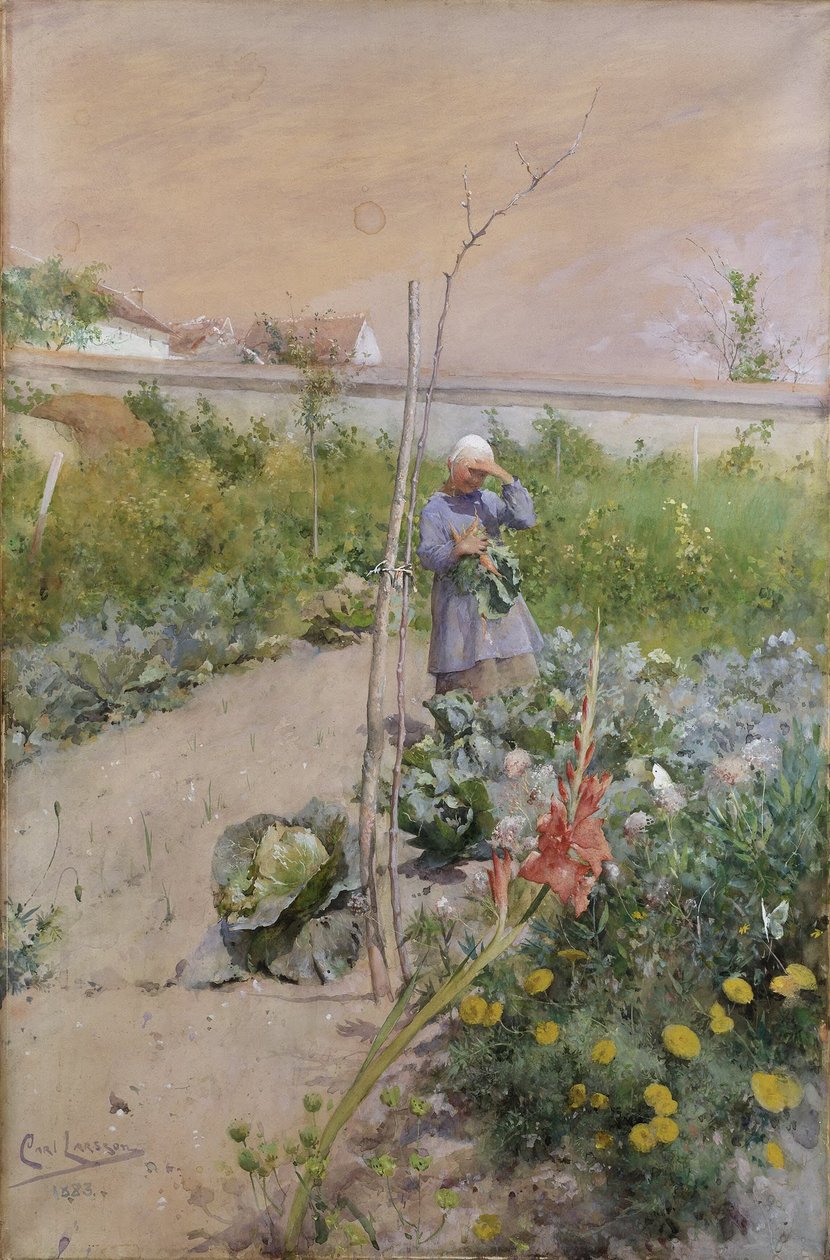 I køkkenhaven af Carl Larsson