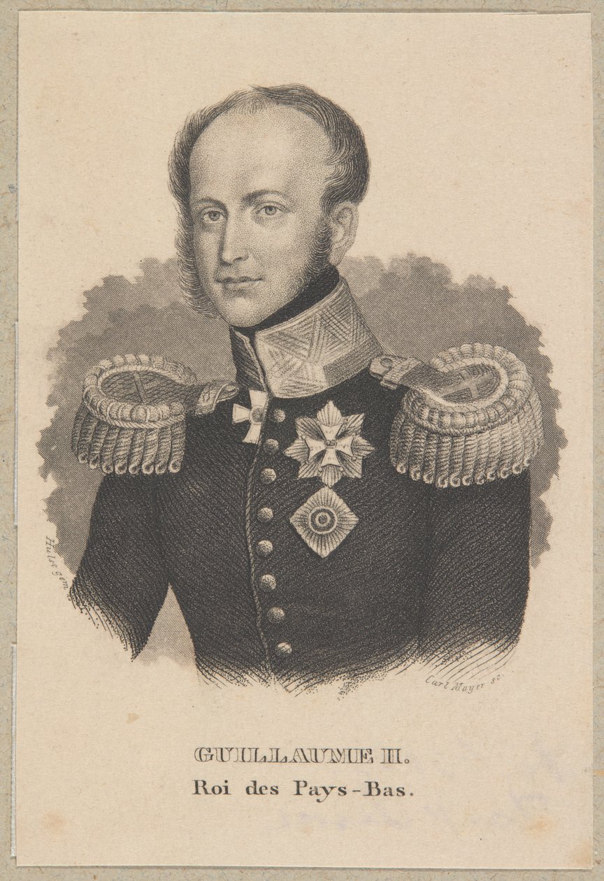 Vilhelm 2., konge af Nederlandene af Carl Mayer
