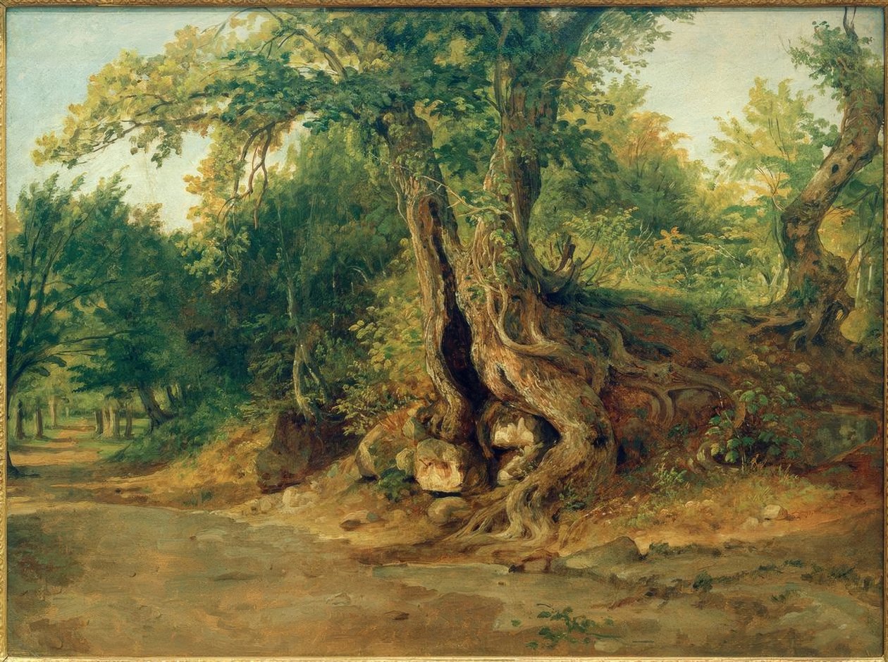 C. Morgenstern, lund i nærheden af ​​Ariccia med holm ege af Carl Morgenstern