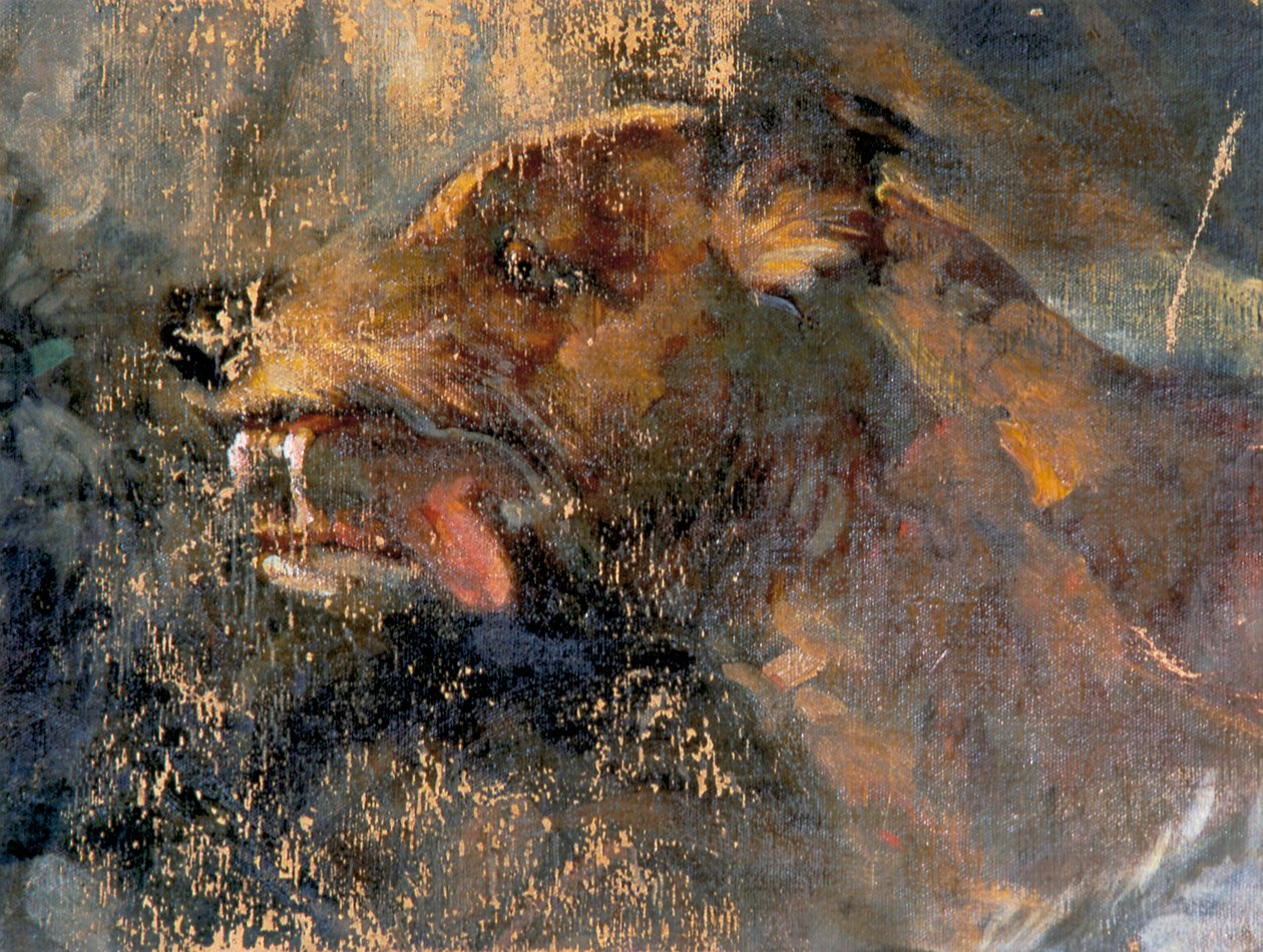 hundehoved af Carl Rudolf Huber