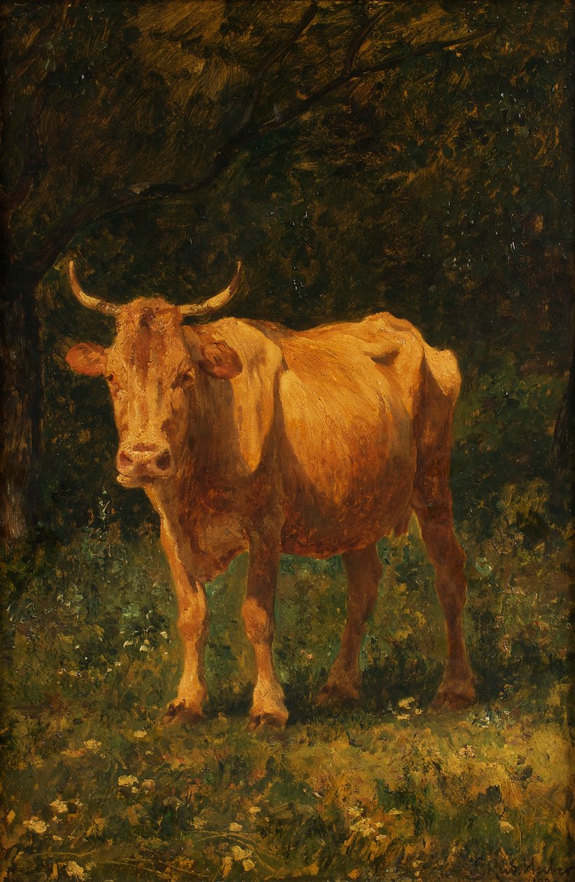 Brødfarvet ko af Carl Rudolf Huber