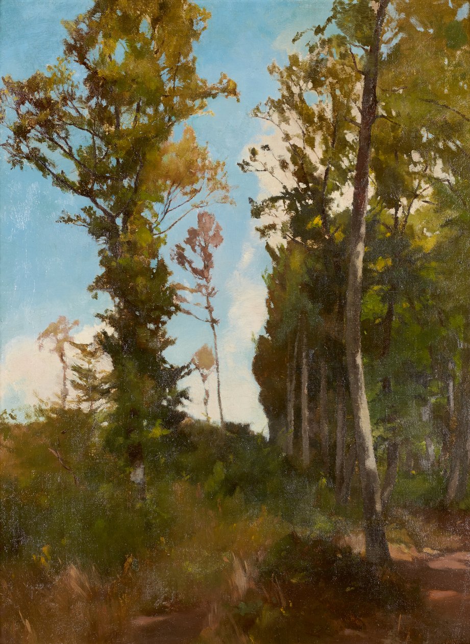 Skovrydning nær Purkersdorf af Carl Schuch