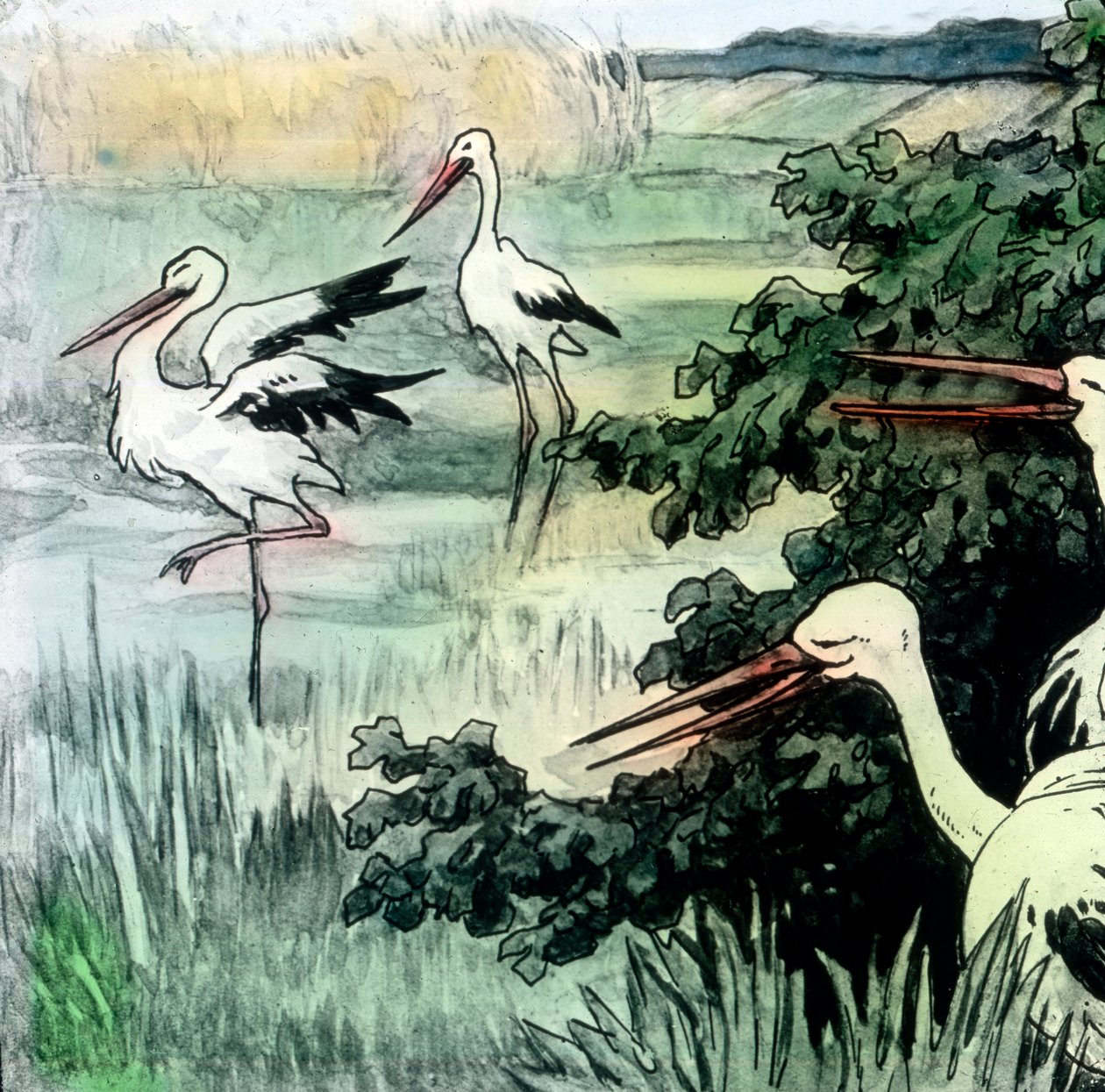 Wilhelm Hauff - Eventyr - Kaliffens stork. Billedet er dateret omkring 1910. Carl Simon-arkivet af Carl Simon