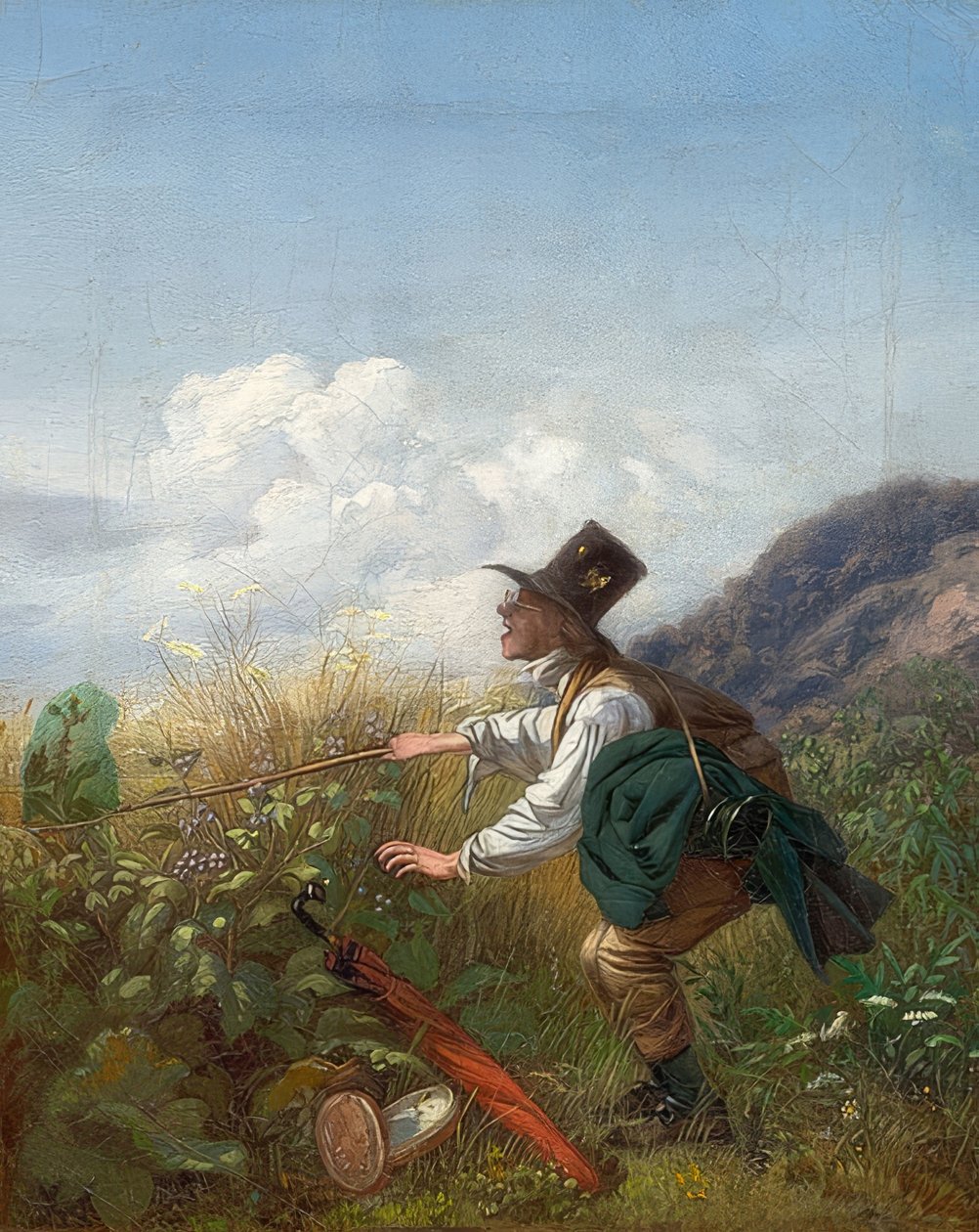 Sommerfuglefangeren (botaniker). Omkring 1837 af Carl Spitzweg