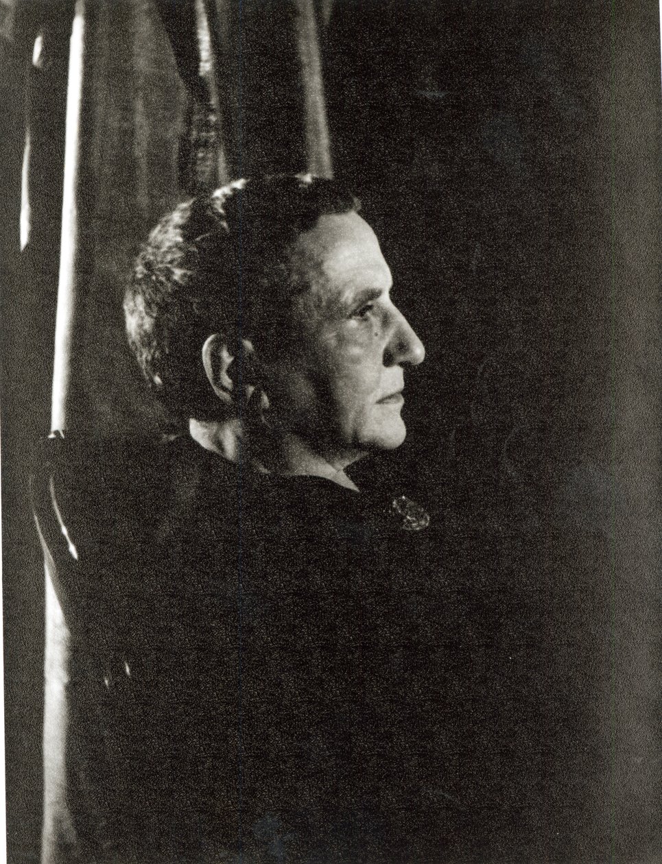 Gertrude Stein (1874-1946) 4. november 1934 (gelatinesølvtryk) af Carl Van Vechten
