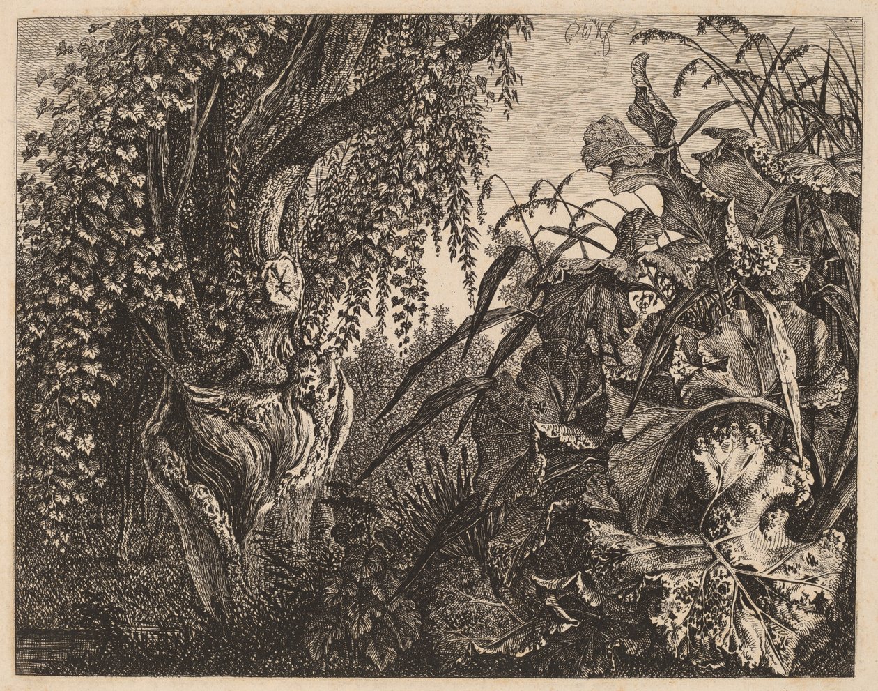 Et Krat; et knudret piletræ til venstre, et krat af vegetation til højre af Carl Wilhelm Kolbe