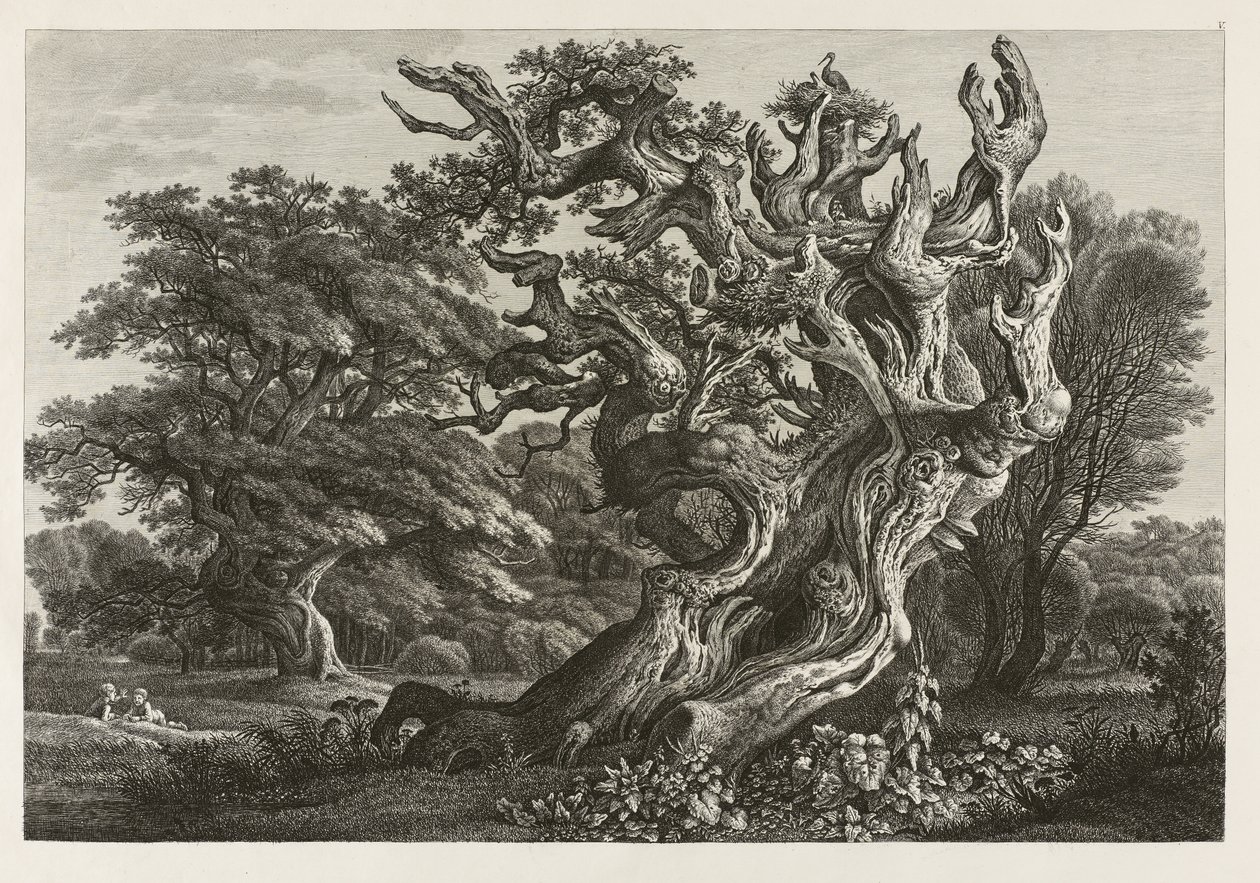 Fantastisk stort egetræ med storkerede (ætsning) af Carl Wilhelm Kolbe