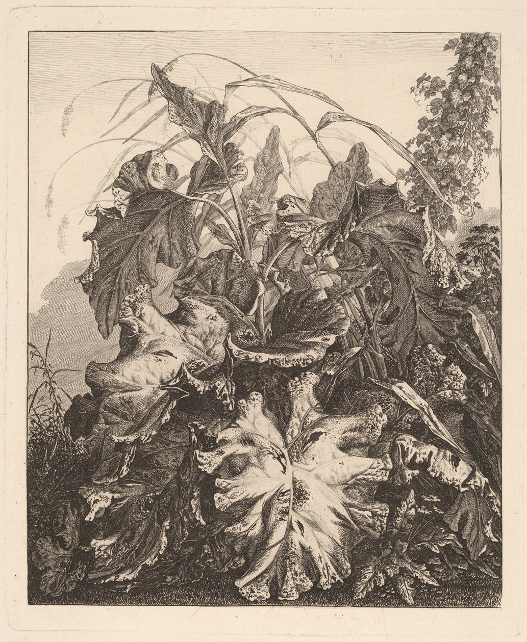 Løv med rør af Carl Wilhelm Kolbe