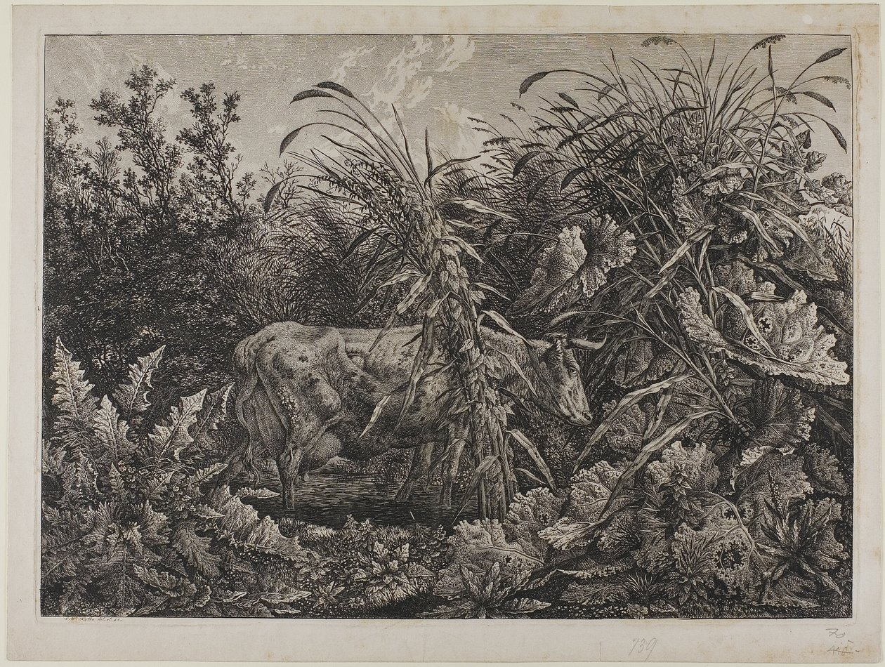 Ko i en bæk af Carl Wilhelm Kolbe the elder