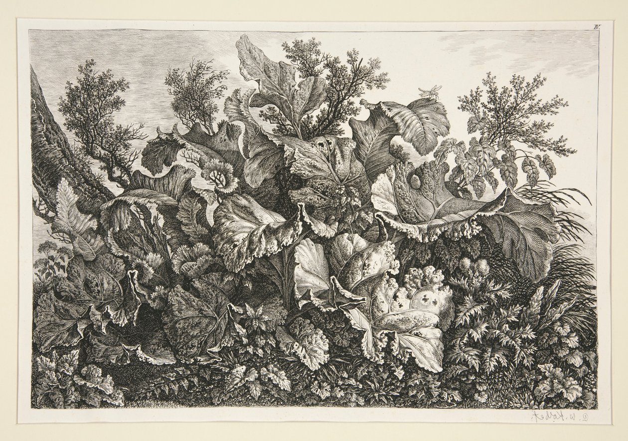 Landskab af Carl Wilhelm Kolbe the elder