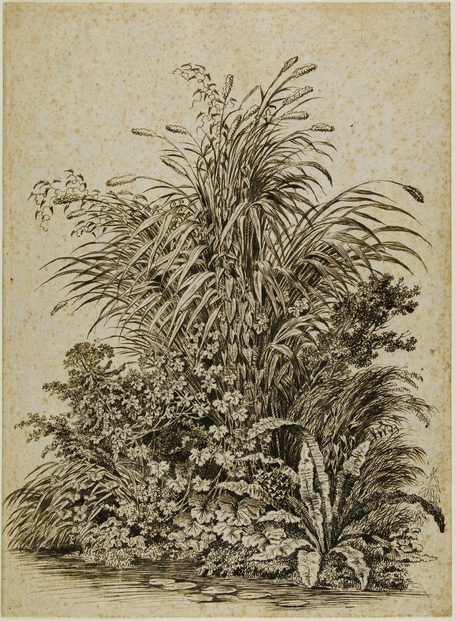 Planter ved vandkanten af Carl Wilhelm Kolbe the elder