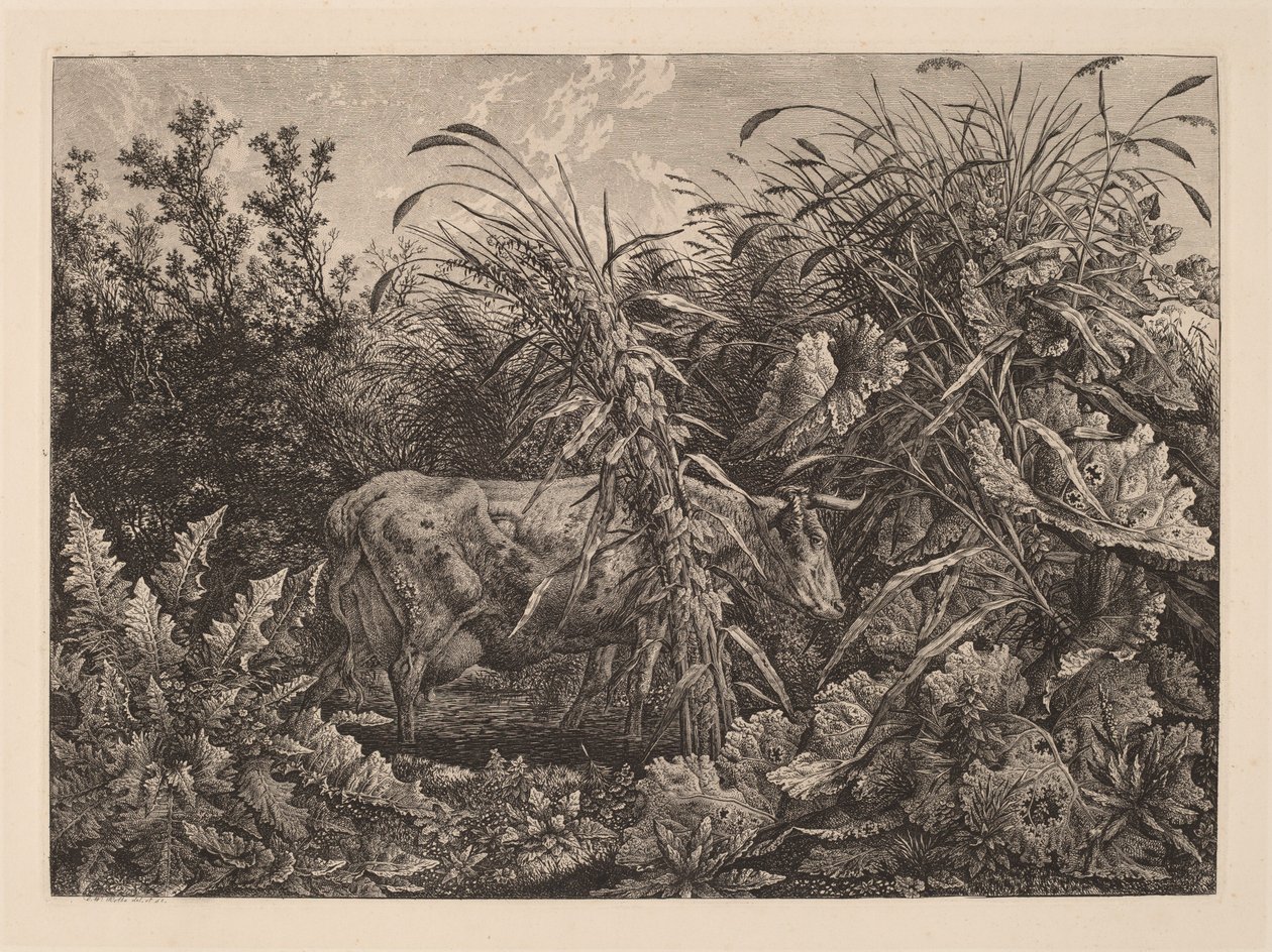 Koen i Sumpen af Carl Wilhelm Kolbe, the elder