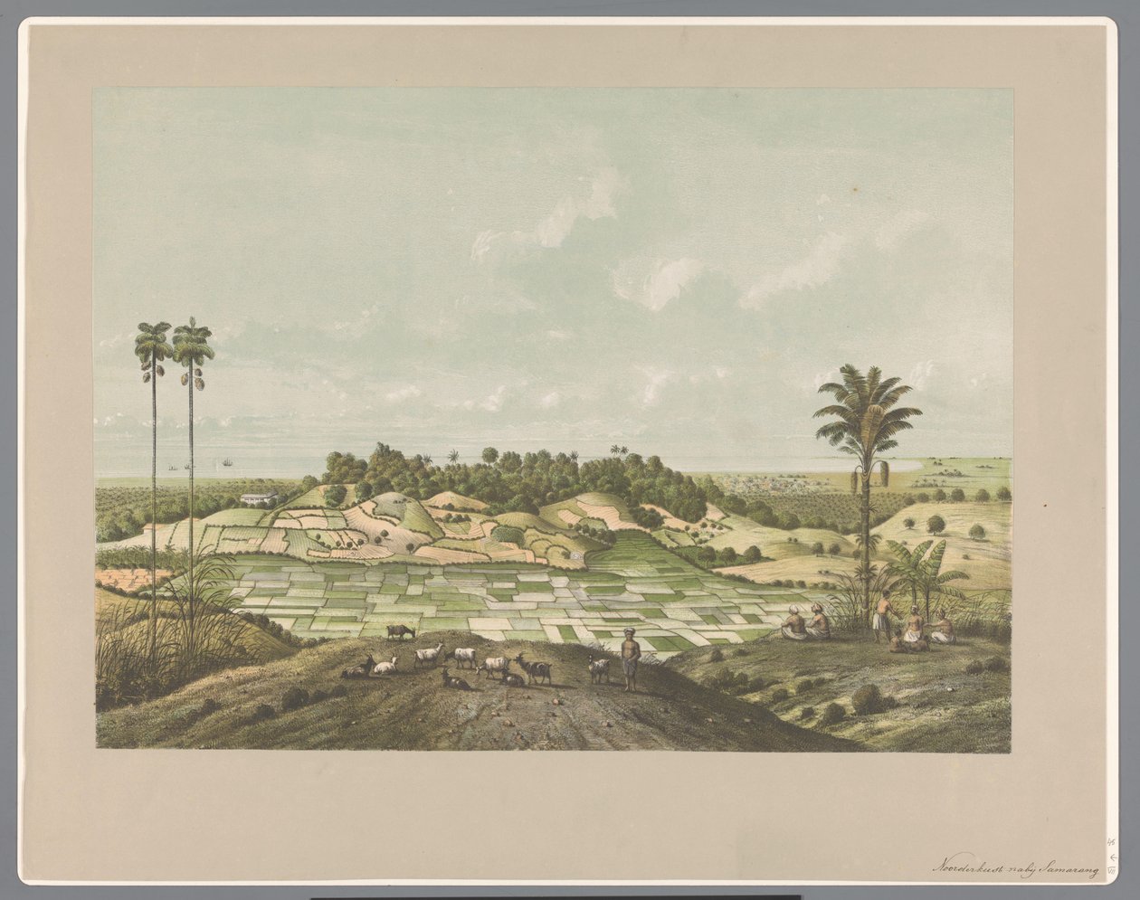 Nordkysten nær Semarang af Carl Wilhelm Mieling (possibly)