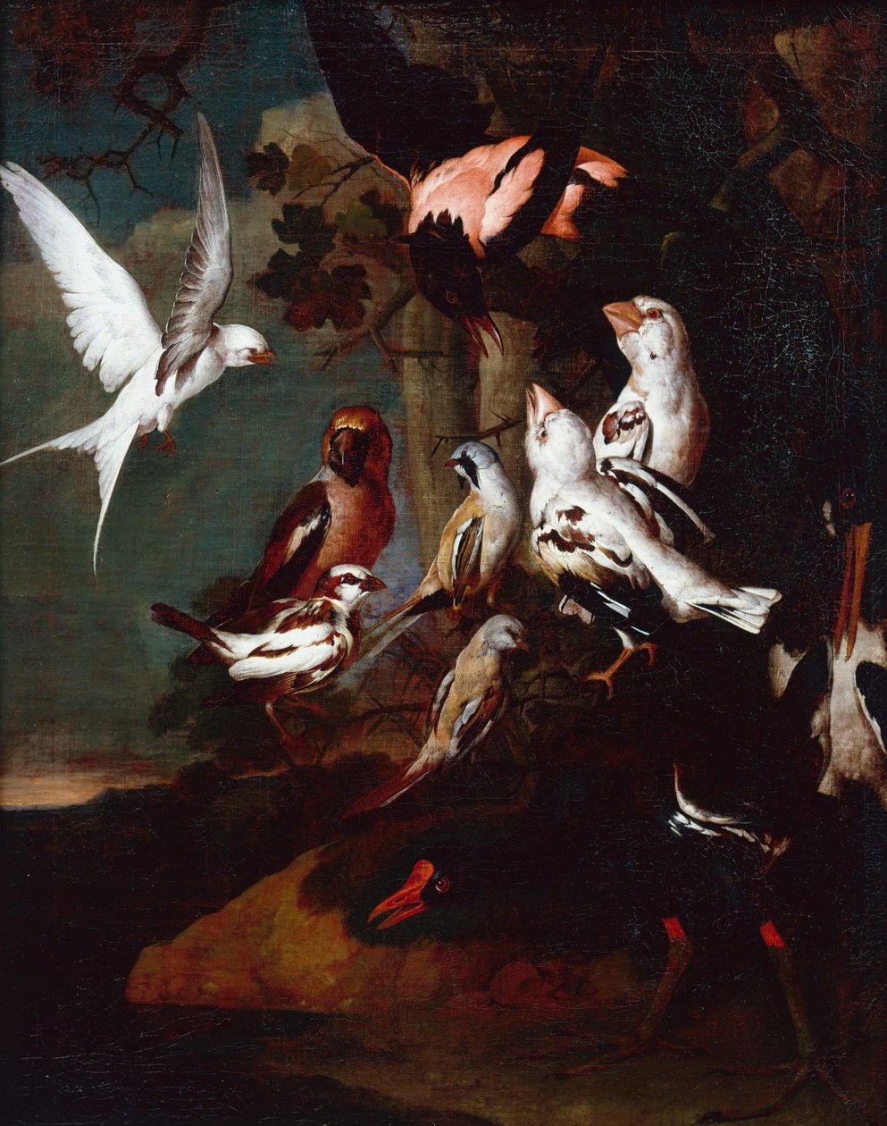 En hedehøne, svale, finker og andre fugle i et skovklædt flodlandskab (olie på lærred) af Carl Wilhelm de Hamilton