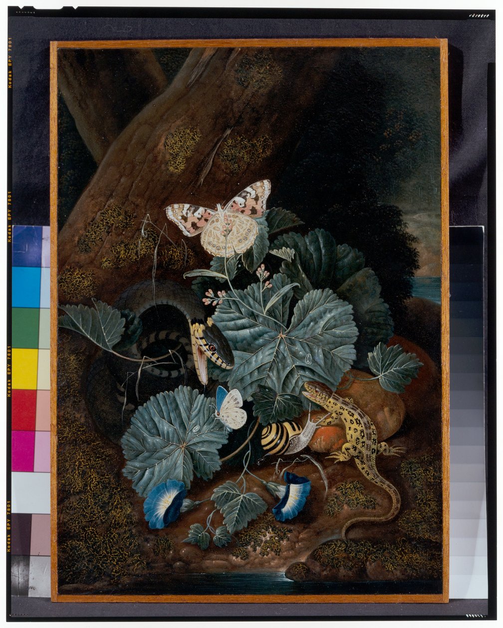 Skovbundsstilleben med snegle, slanger, firben og sommerfugle af Carl Wilhelm de Hamilton