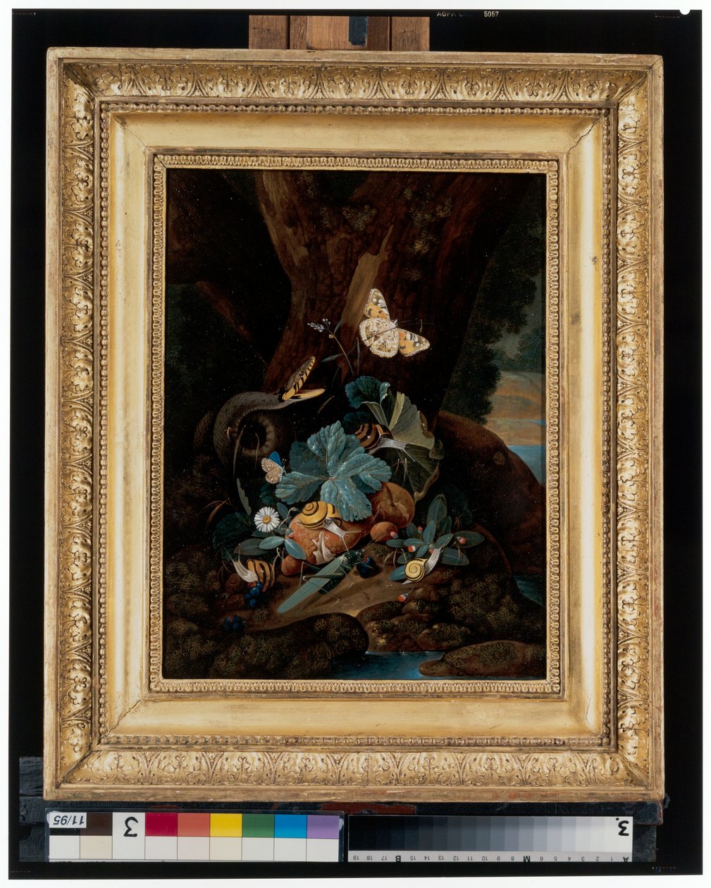 Skovbundsstilleben med snegle, slanger, firben og sommerfugle af Carl Wilhelm de Hamilton