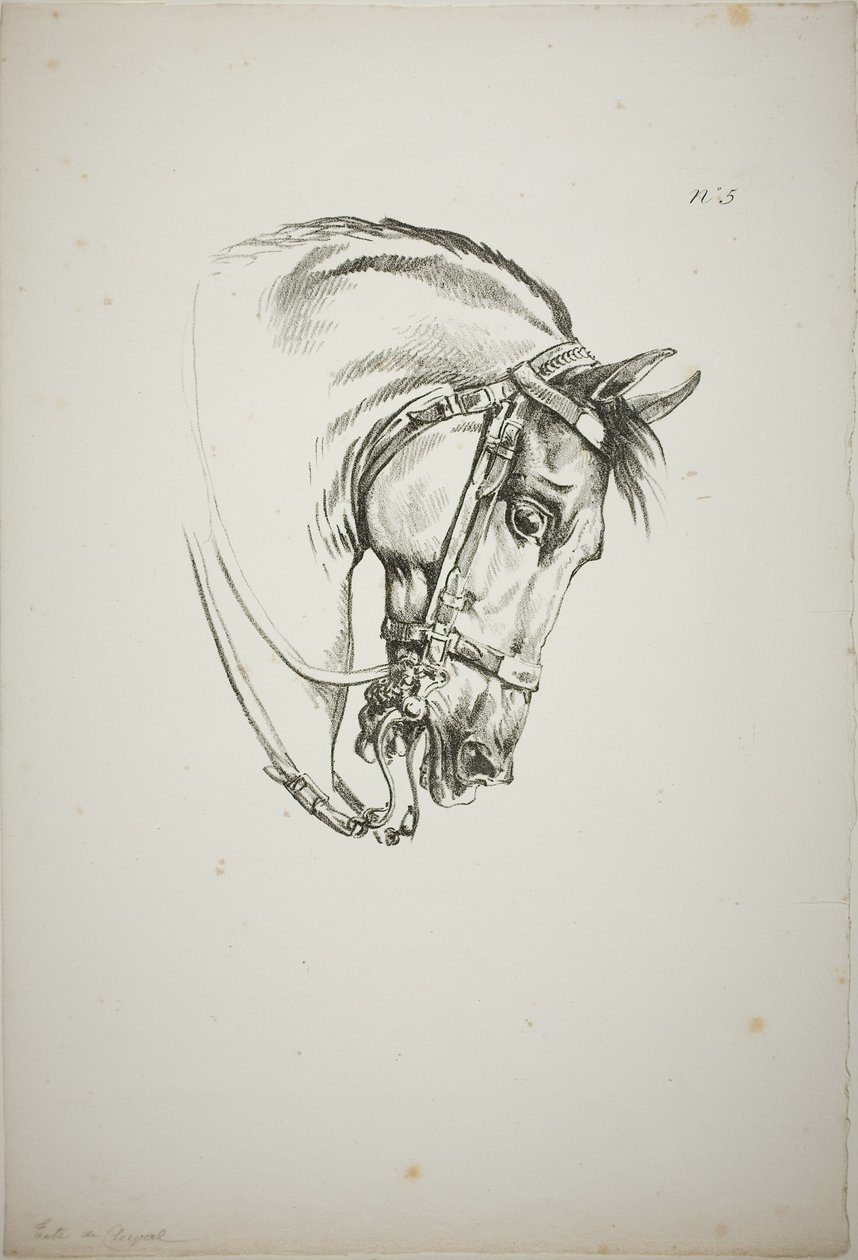 Detalje af hestehoved, forstørret til tredobbelt størrelse, Norman Royal Guard, nr. 5, First Limoges Horse af Carle Vernet