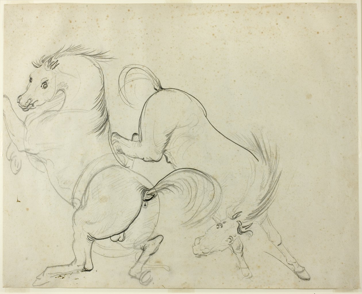 To heste, der kaster sig (recto); Mand på en sparkende hest (verso) af Carle Vernet