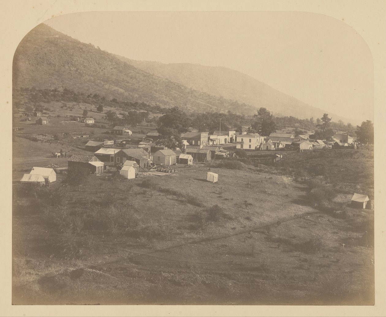 (Bear Valley af Carleton E. Watkins