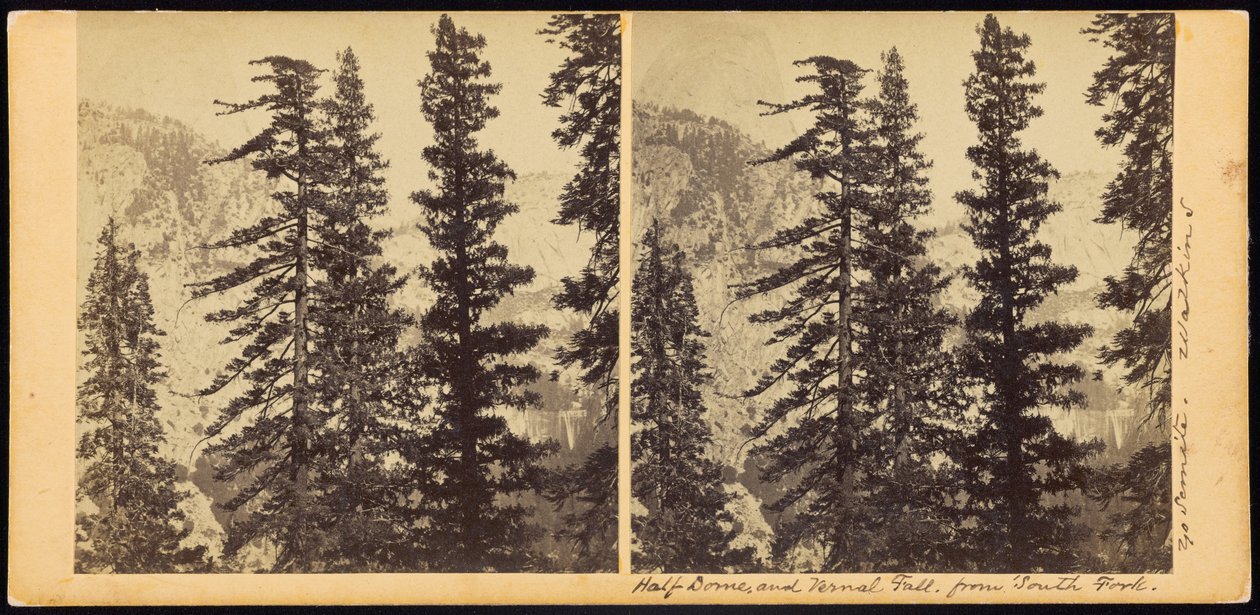 Half Dome og Vernal Fall, fra South Fork af Carleton E. Watkins
