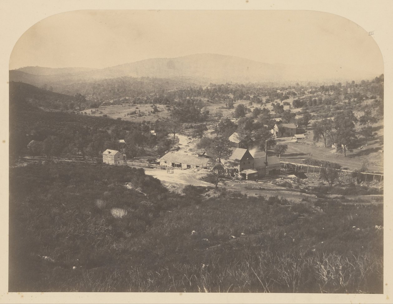 Mount Ophir af Carleton E. Watkins