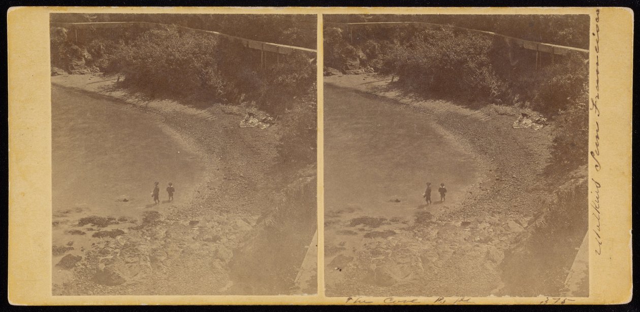 The Cove, S.F. af Carleton E. Watkins