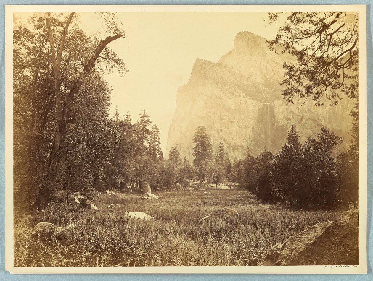 Drive, Brudeslør, Yosemite af Carleton E. Watkins