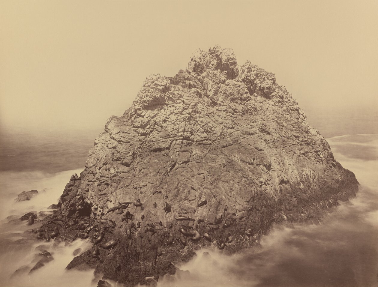 Sugar Loaf Island, Farallons af Carleton E. Watkins