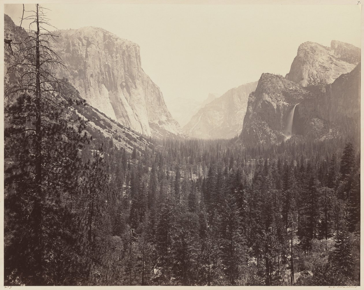 Yosemite-dalen fra Mariposa Trail af Carleton E. Watkins