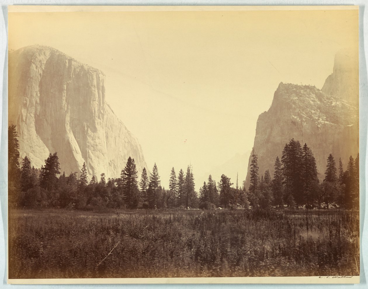 Op ad dalen fra foden af Mariposa Trail, Yosemite, nr. 9 af Carleton E. Watkins